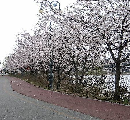 Youngrangho Resort Sokcho Exterior foto